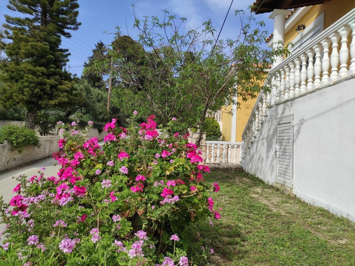 Akrotiri  Stranis Hill House Zakinthosヴィラ エクステリア 写真